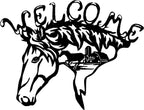 Horse Welcome 1042