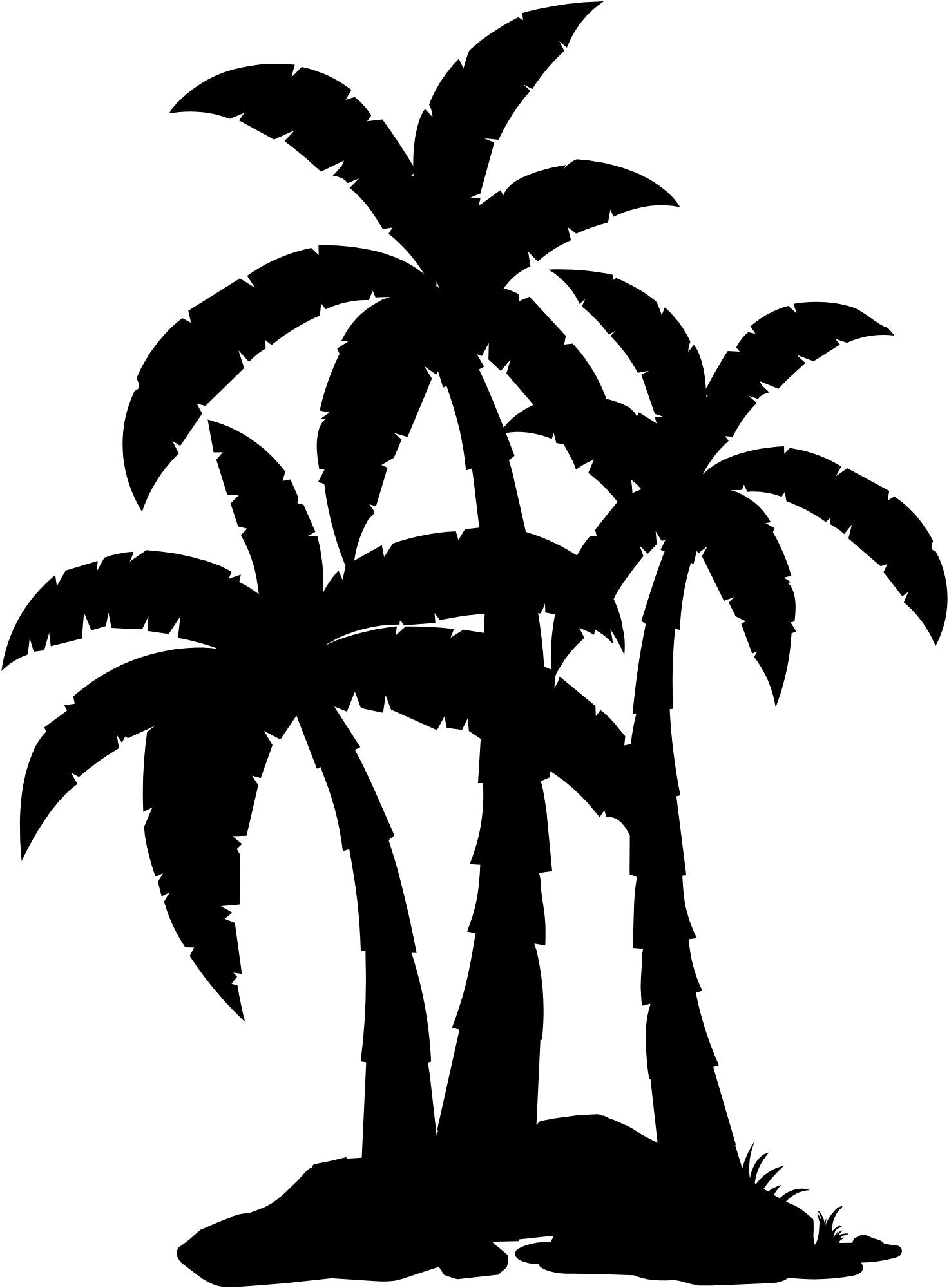 Palm trees 1033