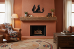 Black Coyote 3160 on southwestern style living room wall
