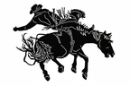 Black rodeo with details