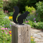 Squirrel 1002 black on fence post