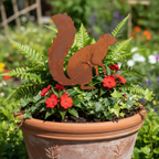 Squirrel 1002 rust finish in planter
